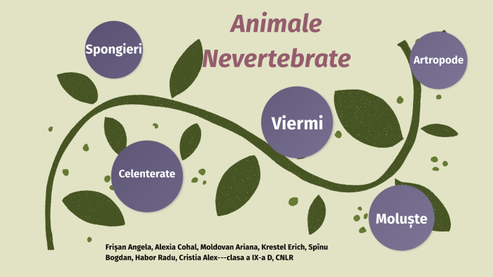 Animale nevertebrate by Frisan Angela on Prezi