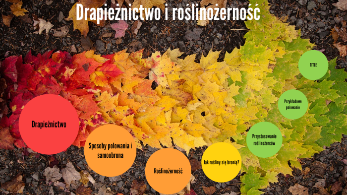 Drapieżnictwo i roślinożerność by Wiktor Nowak on Prezi