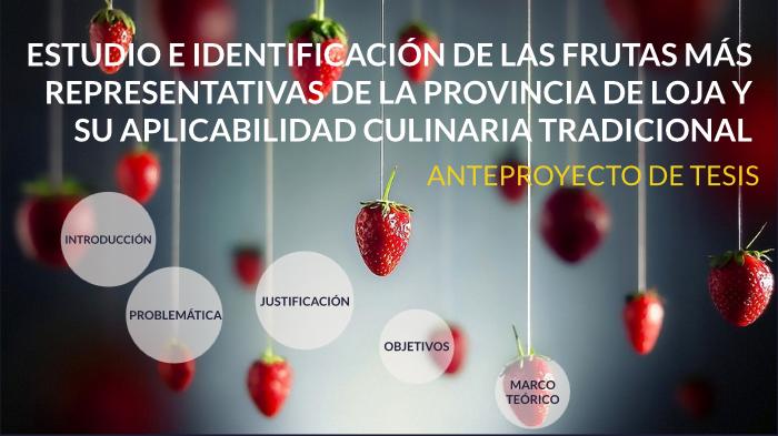 QUE ES LA ANT TESIS visual data 4