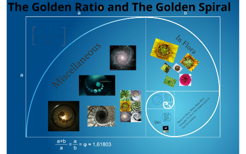 golden ratio by Mihir Singh on Prezi