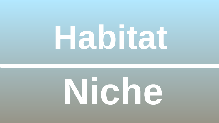 niche-vs-habitat-definition-examples-differences-and-diagrams-laboratoryinfo