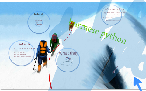 burmese python by aertyui wu on Prezi