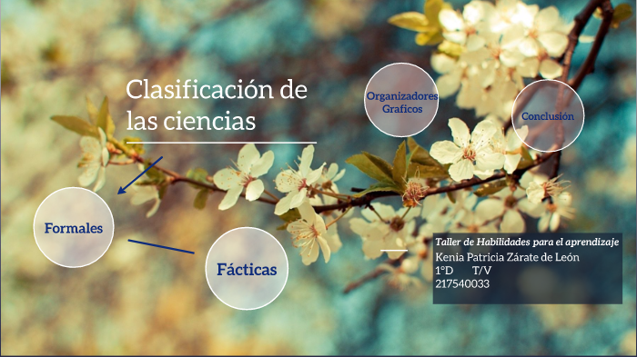 Clasificación De Las Ciencias By Kenia Zárate On Prezi