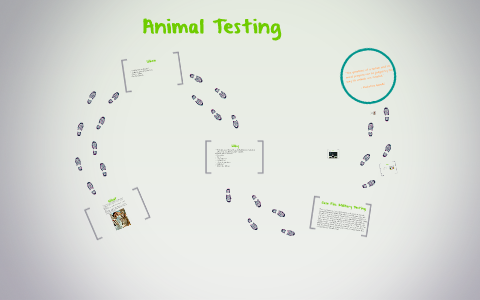 Animal Testing by Taylor Rioux