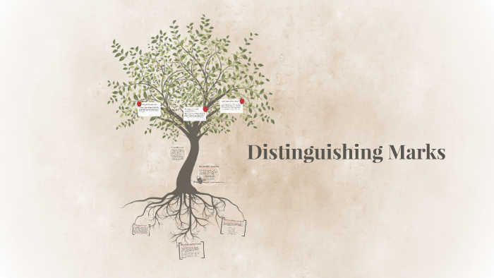 distinguishing-marks-by-caleb-mattatall