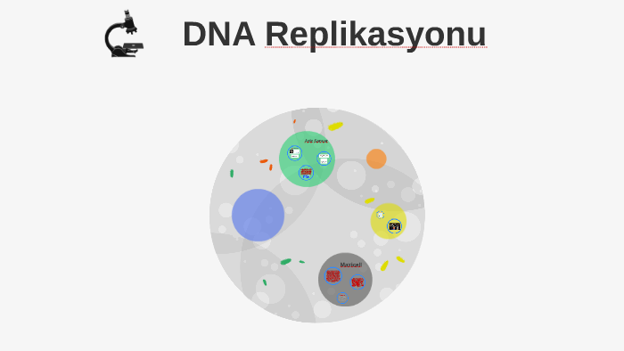 DNA Replikasyonu by abdullah dincer on Prezi