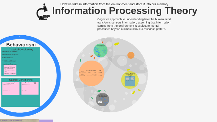 Information Processing Theory by Emily Lawhorn on Prezi