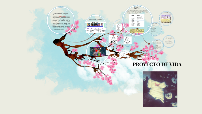 Proyecto de vida by Priscila Saeteros Vallejo on Prezi
