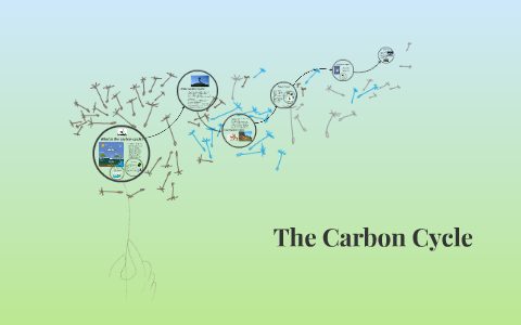 The Carbon Cycle by Kaylee Shannon on Prezi