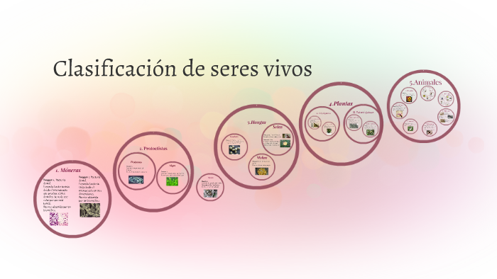 Clasificación de seres vivos by maria dolores espada