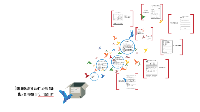 collaborative-assessment-and-management-of-suicidality-cams-by-kim