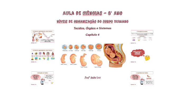 Aula de Ciências 02 - 6° Ano - Níveis de Organização do Corpo Humano ...