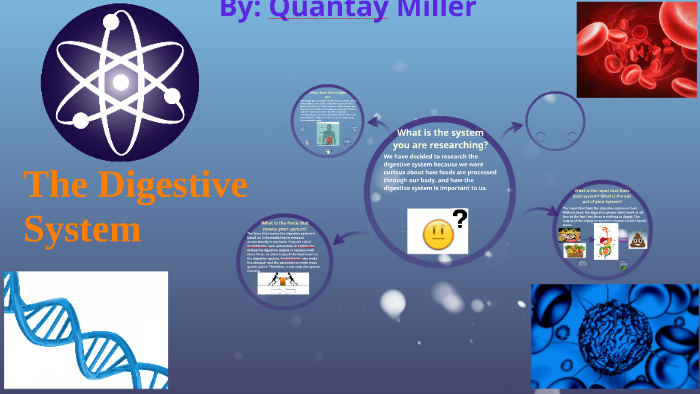 The digestive system by Sandy Zhou on Prezi