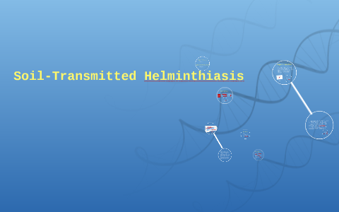 Soil-Transmitted Helminthiasis By Yuanyuan He On Prezi