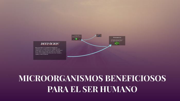 MICROORGANISMOS BENEFICIOSOS PARA EL SER HUMANO by karen mayerli ...