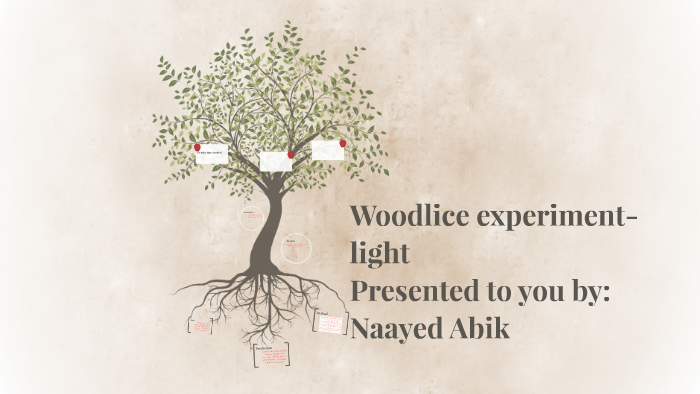 woodlice experiment light intensity