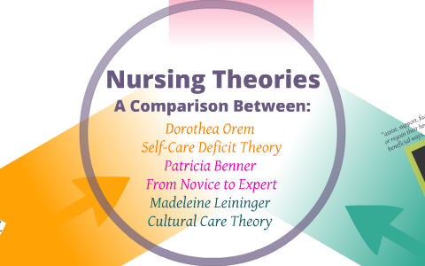 patricia benner nursing theory application