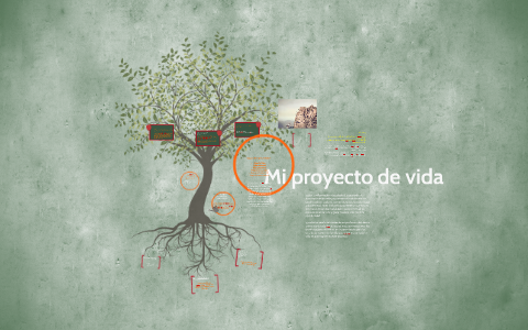 Mi proyecto de vida by andrea ruiz on Prezi