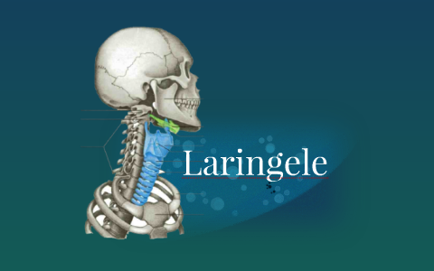 Laringele by Ionuț Cozma on Prezi