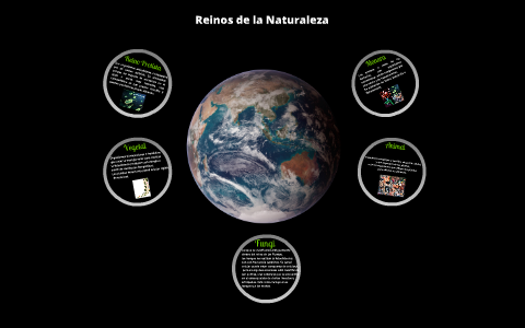 Reinos de la Naturaleza by Jose Garzon on Prezi