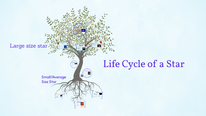 Life Cycle of a Star by Haley Carlton on Prezi
