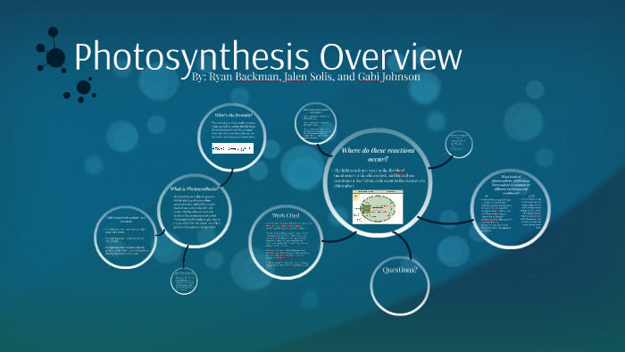Photosynthesis Overview by Ryan Backman on Prezi