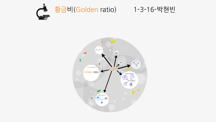  Golden ratio by on Prezi