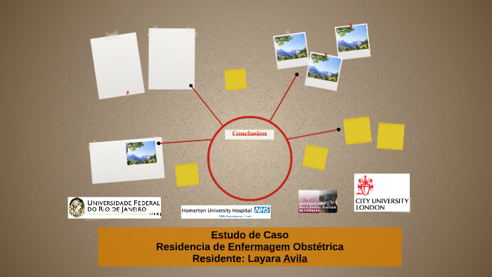 Estudo de Caso 2016 by Layara Avila De Lima on Prezi