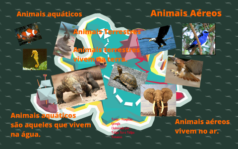Animais da água, do ar e da terra. by felipe ivo on Prezi