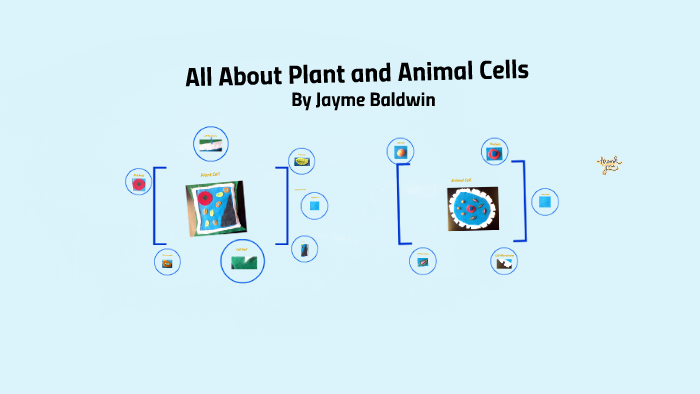 Animal Cell by jayme baldwin on Prezi