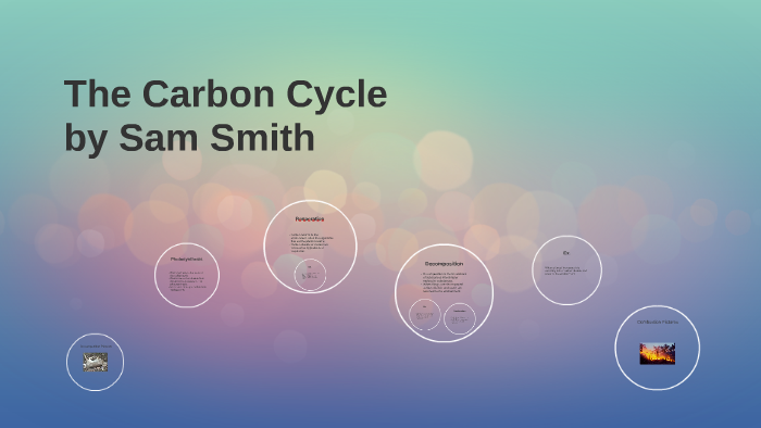 The Carbon Cycle by Kristi Ables on Prezi