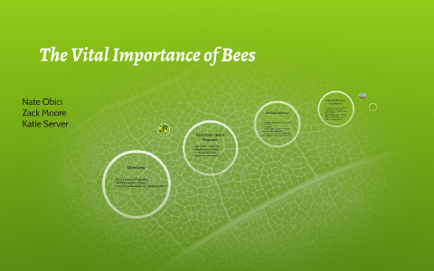 The Vital Importance of Bees by Zackary Moore on Prezi