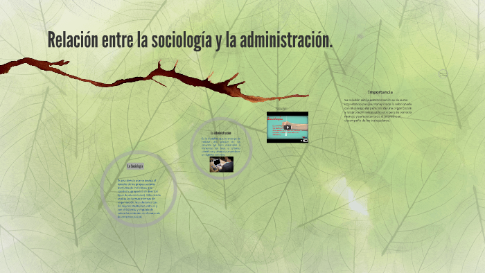 Relación entre la sociología y la administración. by lourdes Mendoza on