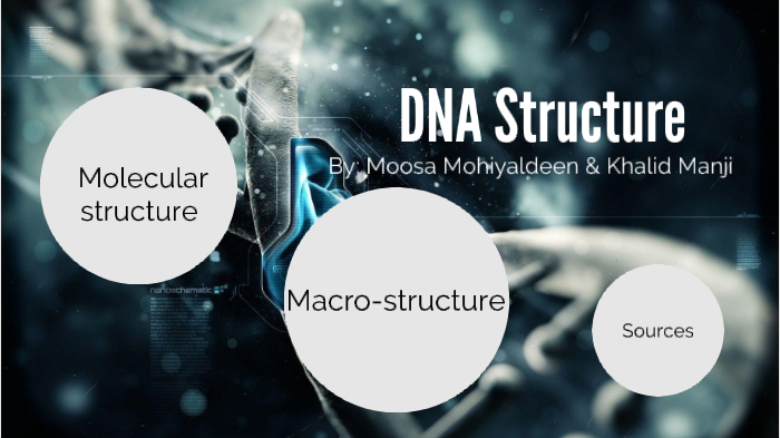 DNA Structure by Moosa Qadhi on Prezi