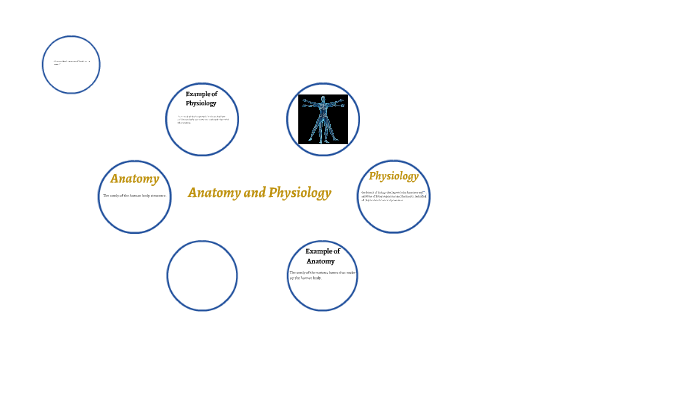 Module 1 Lesson 1 Assignment by taylor madsen on Prezi