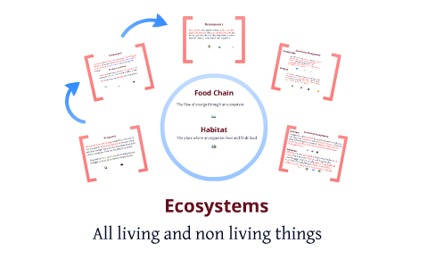 Louisiana Ecosystems by David Hyman on Prezi