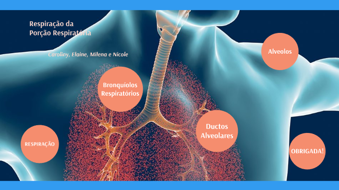 RESPIRAÇÃO DA PORÇÃO RESPIRATÓRIA by Nicole Pamela