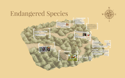 Acerodon Jubatus (Giant Golden Crowned Flying fox by georgia golightly