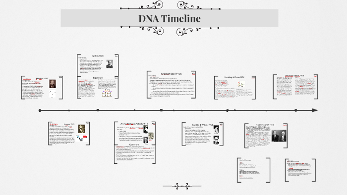 DNA Timeline by on Prezi