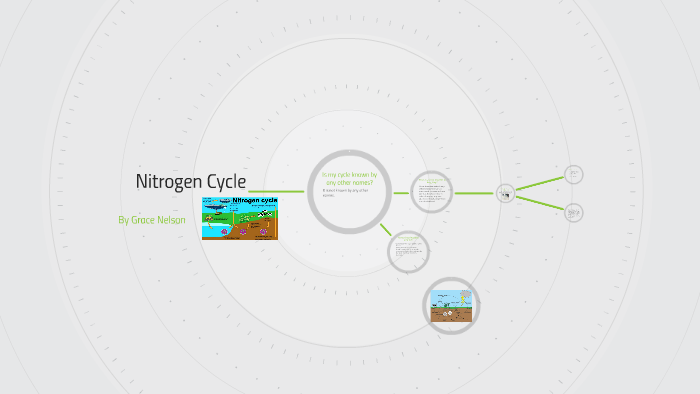 Nitrogen Cycle by Grace Nelson on Prezi