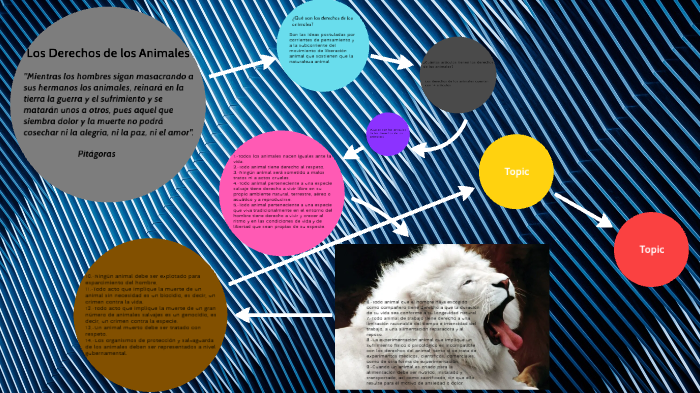 Derechos de los animales by benjamín barranco on Prezi