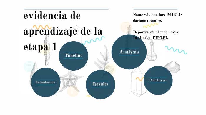evidencia de aprendizaje de la etapa 1 by Viviana Maribel L. Lara on Prezi