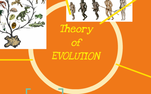 Evolution Mind-Map by alex persaud on Prezi