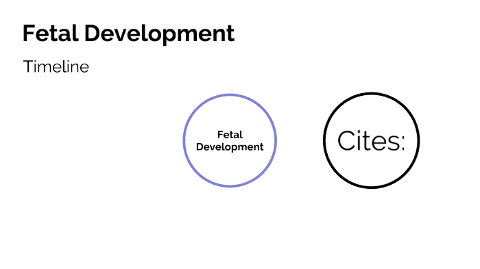 Fetal development by laine barnwell on Prezi