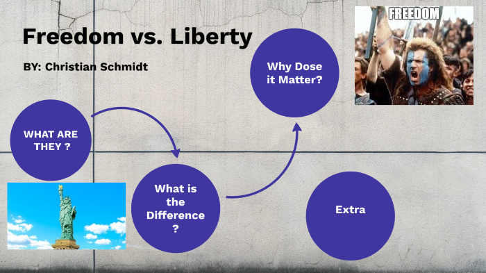 liberty vs freedom essay