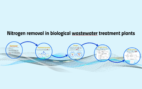 Nitrogen Removal In Biological Wastewater Treatment Plants By Jacky Mo ...