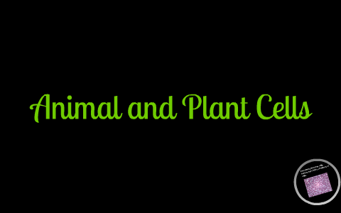 animal and plant cells by Adam Ross on Prezi