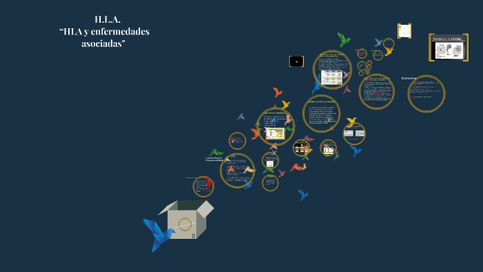 ANTIGENO LEUCOCITARIOS HUMANO (HLA) by elkin torres on Prezi