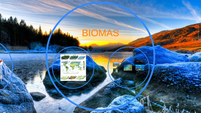 biomas by Sara camarillo corral on Prezi
