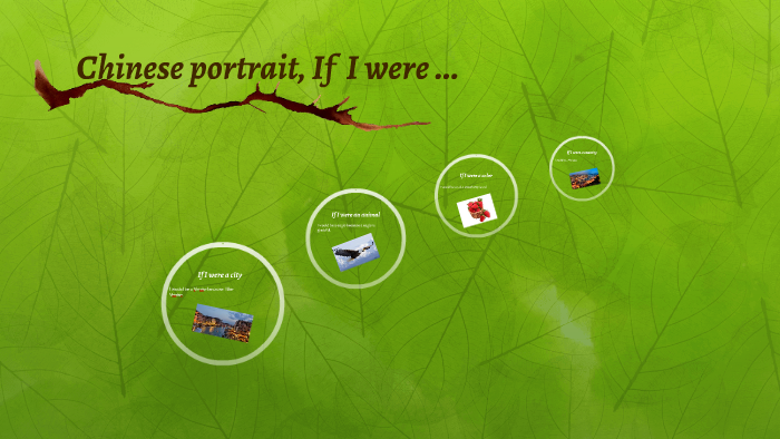 Portrait Chinois En Anglais If I Were